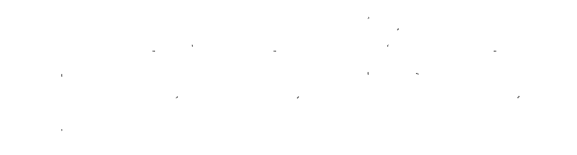 Paradisa Logo Animation